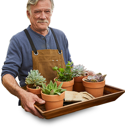 Man in greenhouse holding tray of potted cacti