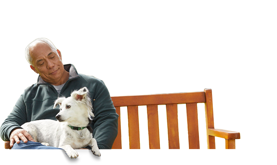 Man on park bench with dog