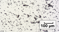 Lokelma (sodium zirconium cyclosilicate)