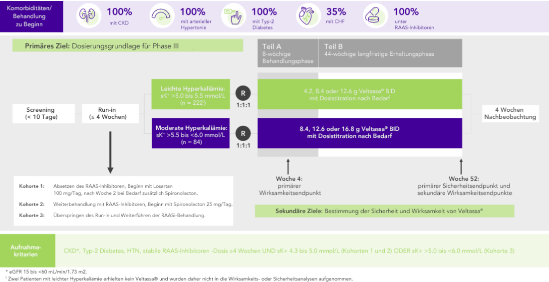 Diagram: summary of the AMETHYST-DN phase 2 study