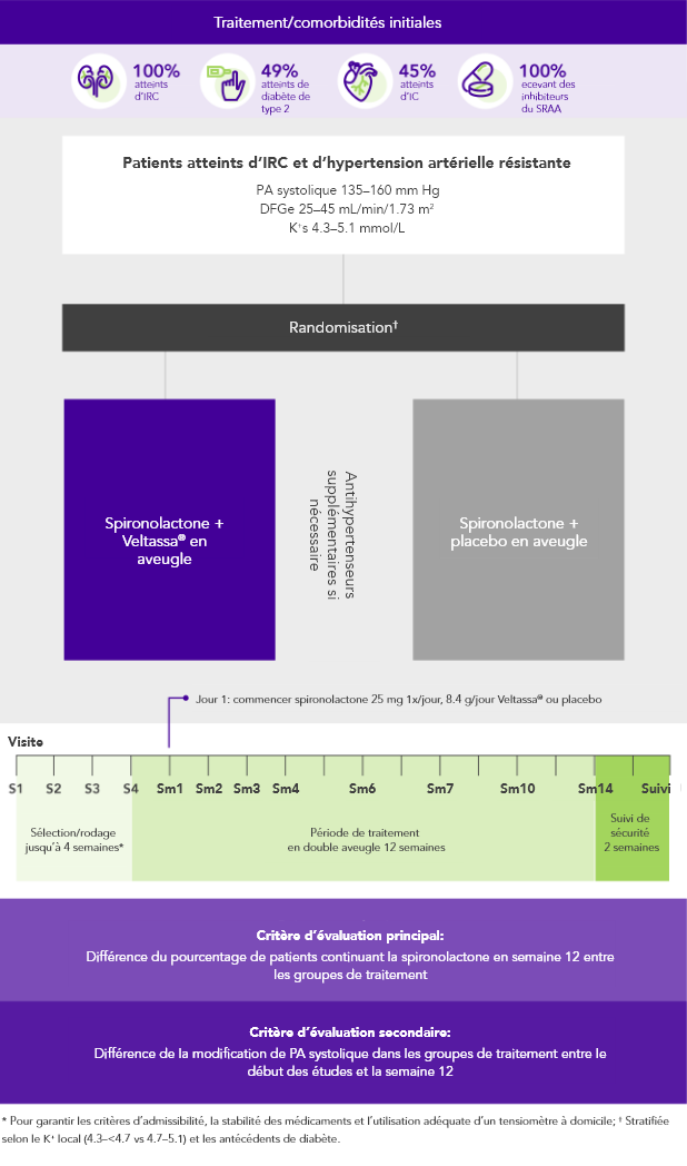 Diagram: summary of the AMBER phase 2 study