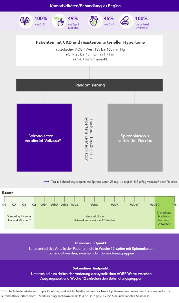 Diagram: summary of the AMBER phase 2 study