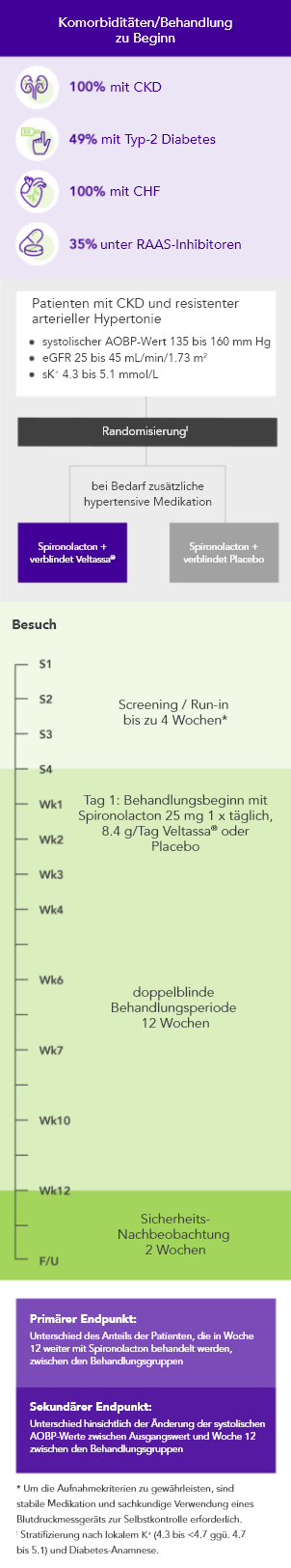 Diagram: summary of the AMBER phase 2 study