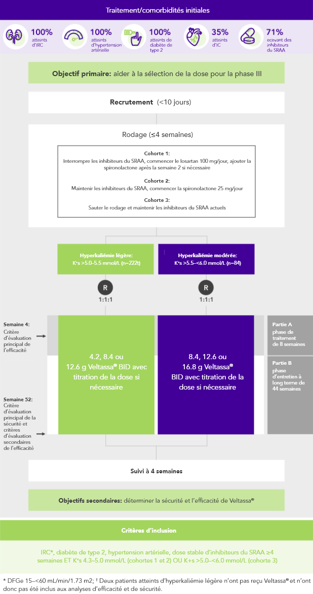 Diagram: summary of the AMETHYST-DN phase 2 study