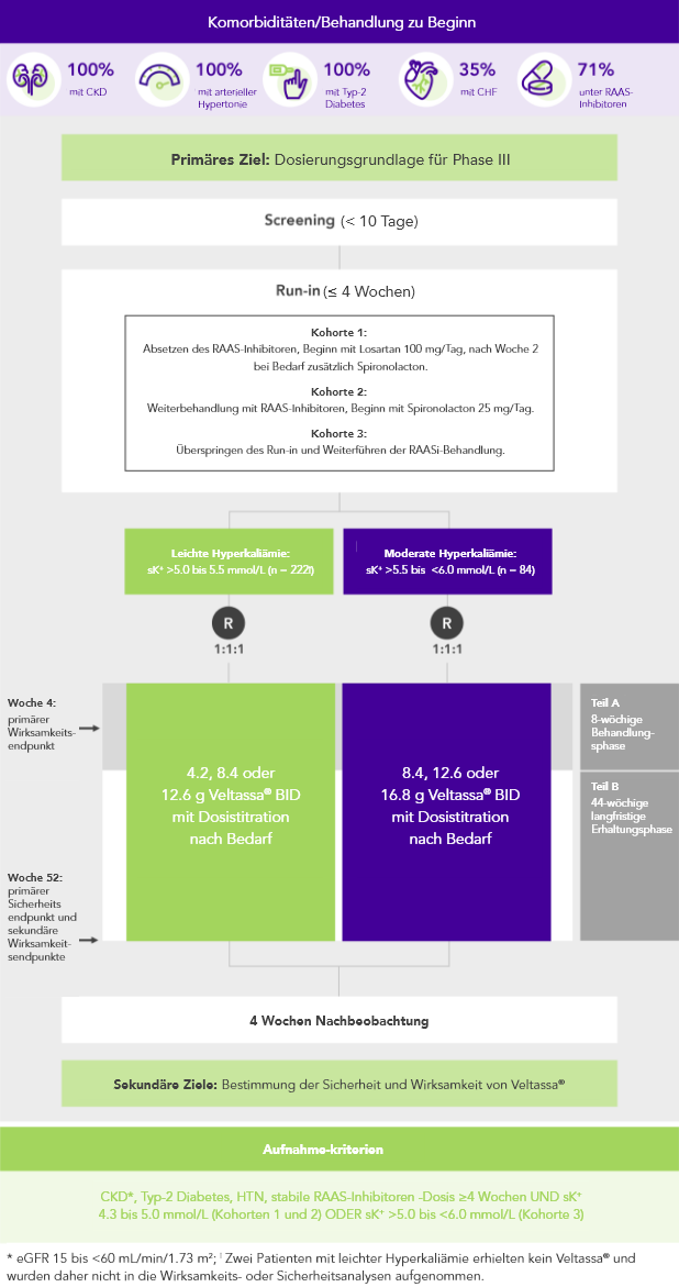 Diagram: summary of the AMETHYST-DN phase 2 study