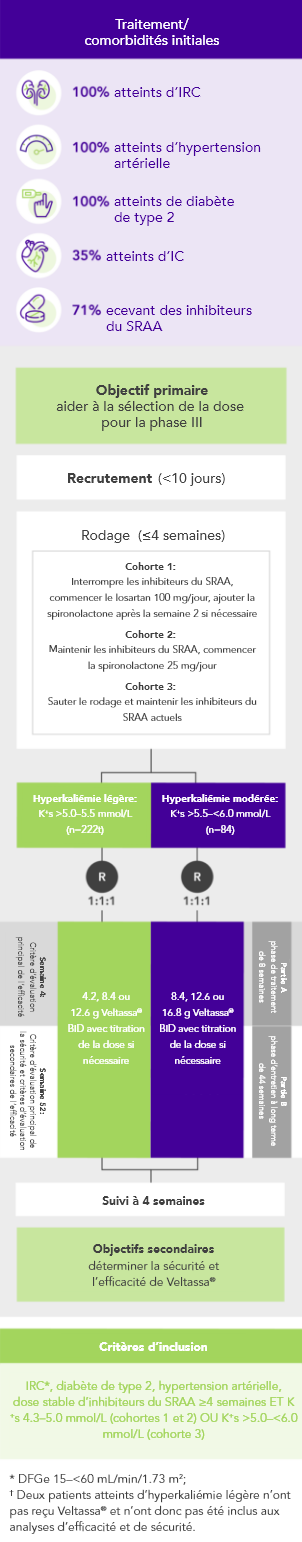 Diagram: summary of the AMETHYST-DN phase 2 study