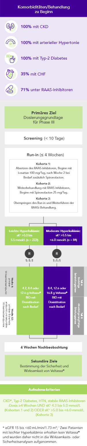 Diagram: summary of the AMETHYST-DN phase 2 study