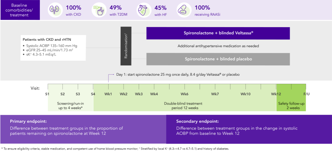 Diagram: summary of the AMBER phase 2 study