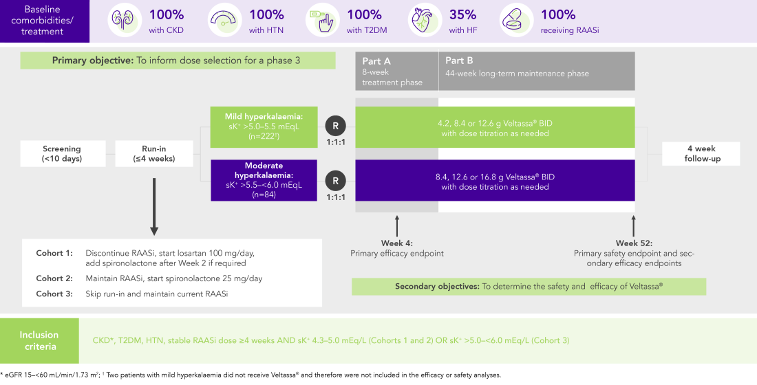 Diagram: summary of the AMETHYST-DN phase 2 study