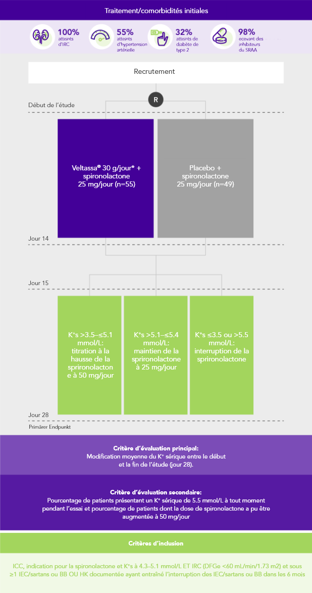 Diagram: summary of the PEARL-HF phase 2 study