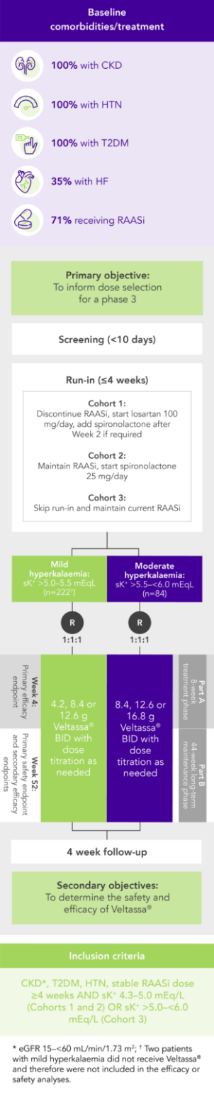 Diagram: summary of the AMETHYST-DN phase 2 study