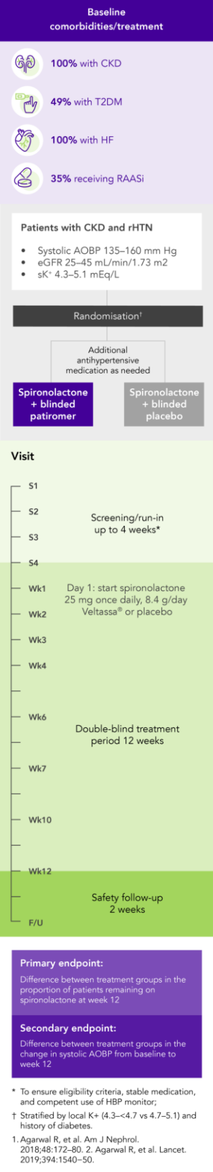 Diagram: summary of the AMBER phase 2 study