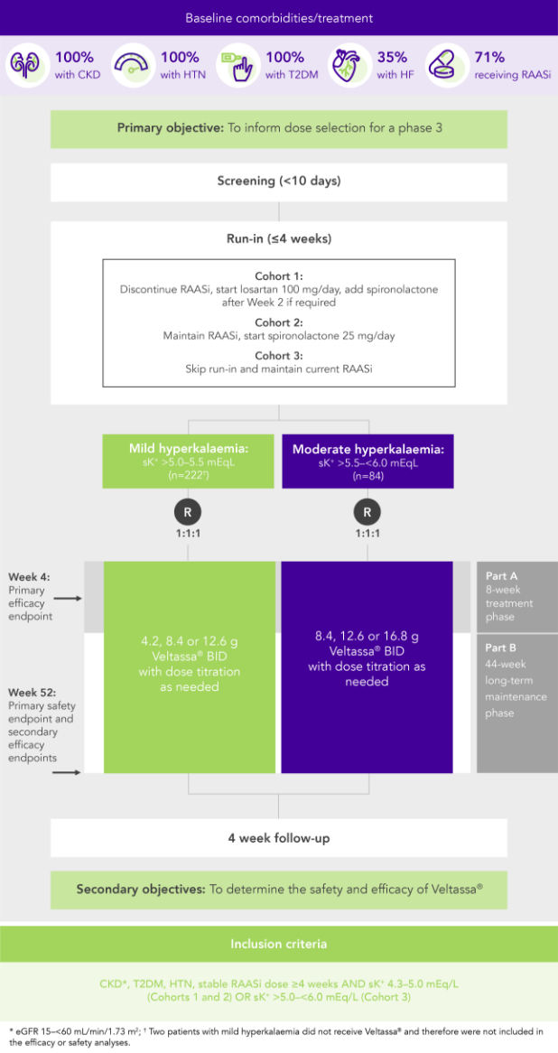 Diagram: summary of the AMETHYST-DN phase 2 study