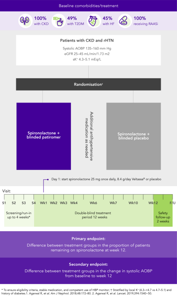 Diagram: summary of the AMBER phase 2 study